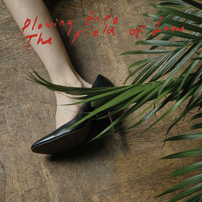 Cover von „Plowing Into the Field of Love“ von Iceage