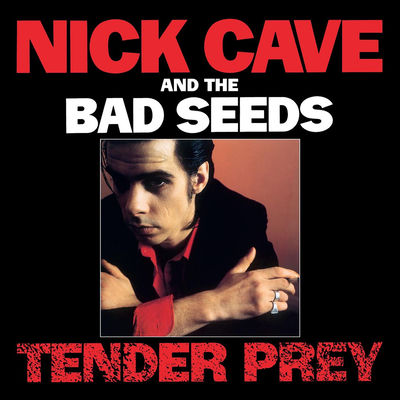 The cover of Tender Prey by Nick Cave & The Bad Seeds