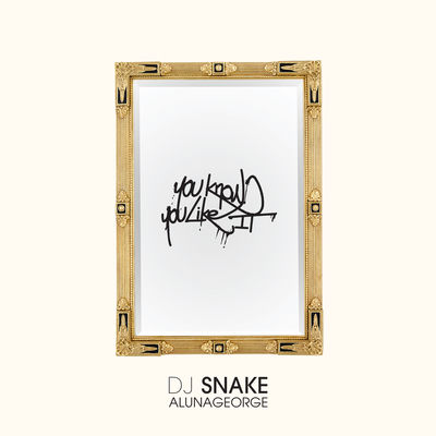 The cover of You Know You Like It by DJ Snake