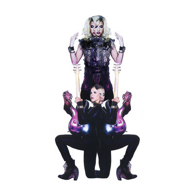 The cover of Plectrumelectrum by Prince