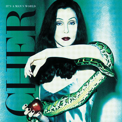 The cover of It's a Man's World by Cher