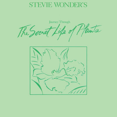 The cover of Journey Through "The Secret Life of Plants" by Stevie Wonder